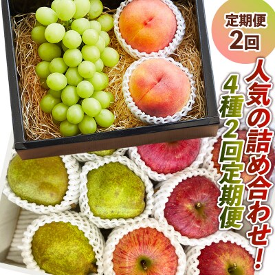 【定期便2回】人気の詰め合わせ!4種2回定期便【令和8年産先行予約】 FS24-087 