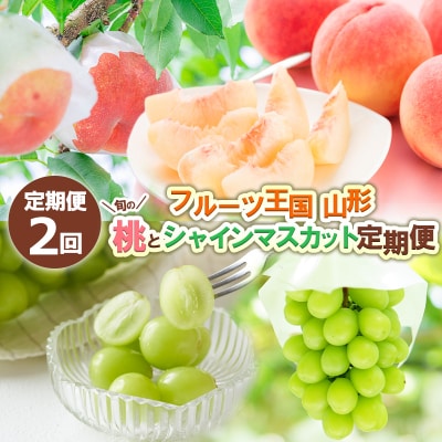 【定期便2回】フルーツ王国山形 旬の桃とシャインマスカット定期便【令和8年先行予約】FS24-723