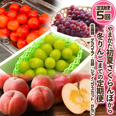 【定期便5回】やまがた ”初夏さくらんぼから冬りんご”までの定期便【令和8年産】FS24-531