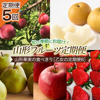 【定期便5回】山形果実の食べきり[乙女の定期便B] 【令和8年産先行予約】FU22-949