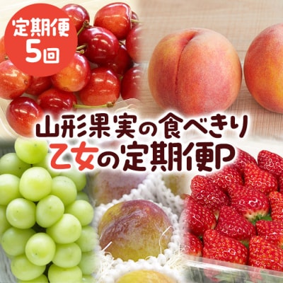 【定期便5回】山形果実の食べきり[乙女の定期便P] 【令和8年産先行予約】FS25-658