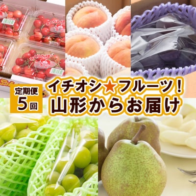 【定期便5回】イチオシ★フルーツ!山形からお届け 【令和8年産先行予約】FS25-613 