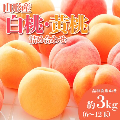 やまがたの桃(白桃・黄桃詰合せ)  品種お任せ 秀品 約3kg【令和8年産先行予約】FS23-813