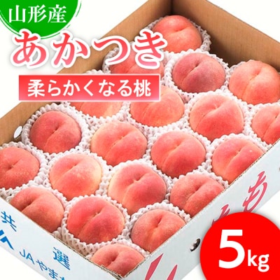 山形市産 もも(あかつき)5kg[柔らかくなる桃] 【令和8年産先行予約】FS25-726