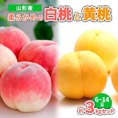 山形産 柔らかめの白桃と黄桃 約3kgセット(6～14玉)【令和8年産先行予約】FS23-720