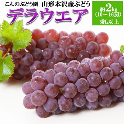 【こんのぶどう園】山形本沢産 デラウェア 秀L以上 約2kg【令和8年産先行予約】FS25-719
