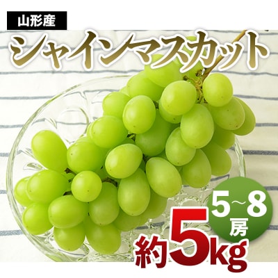 山形の大粒シャインマスカット [10中旬～11月中旬発送] 【令和8年産先行予約】FS24-646 