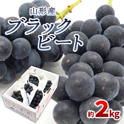山形のぶどう ブラックビート 秀品 約2kg(3～6房) 【令和8年産先行予約】FS24-653 