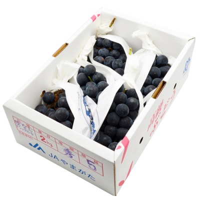 山形のぶどう ブラックビート 秀品 約2kg(3～6房) 【令和8年産先行予約】FS24-653 