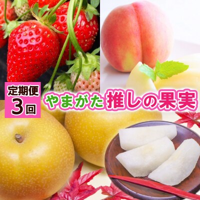 【定期便3回】やまがた 推しの果実 【令和8年産先行予約】FS24-741 