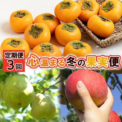 【定期便3回】心温まる冬の果実便 【令和8年産先行予約】FS24-793 