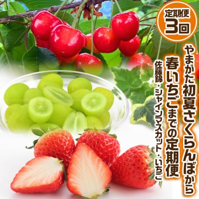 【定期便3回】やまがた 初夏さくらんぼから春いちごまでの定期便【令和8年先行予約】FS24-536 