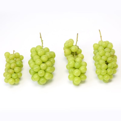 ☆フルーツ王国山形☆[訳あり] シャインマスカット1kg【令和8年産先行予約】FS23-854