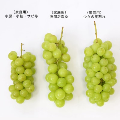 [訳あり]山形のぶどう シャインマスカット10月 優品約1kg【令和8年産先行予約】FS23-819
