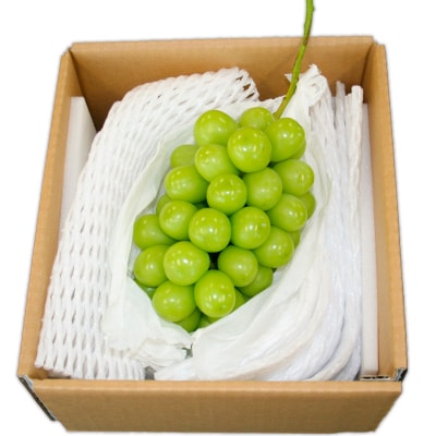 シャインマスカット 約800g 1房 秀品 【令和8年産先行予約】FS25-607