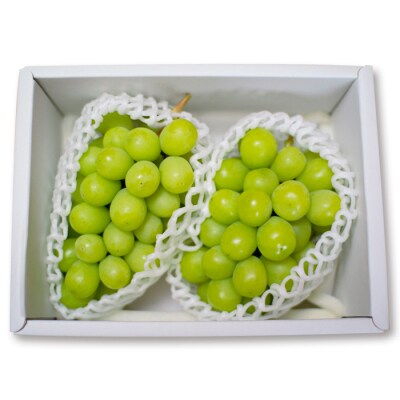 山形のぶどう シャインマスカット 2房(1房600g以上) 【令和8年産先行予約】FU19-729