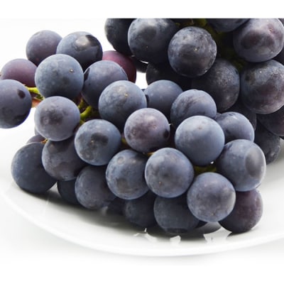 【ご家庭用】山形のピオーネ 優品 約2kg[10月発送] 【令和8年産先行予約】FS23-646