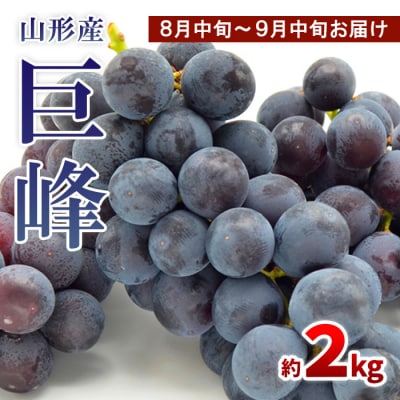 山形のぶどう 巨峰 秀品 約2kg[8月中旬～9月中旬お届け]【令和8年産先行予約】FS24-651