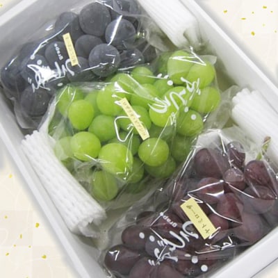 山形市産ぶどう 3種セット 秀 約1.5kg (9月発送) 【令和8年産先行予約】FS24-663