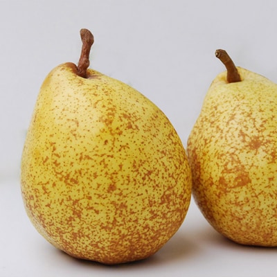 山形の洋梨ゼネラルレクラーク 秀品 約3kg (6～10玉) 【令和8年産】FU23-651 