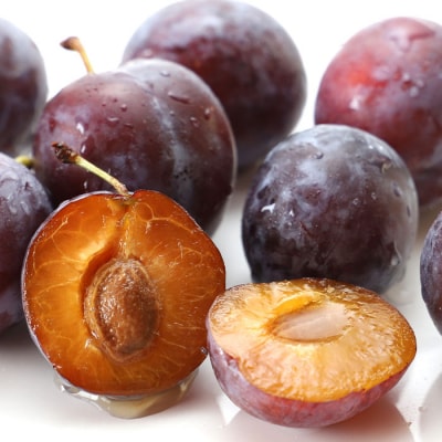 山形産 プルーン 約1.6kg(400g×4パック) 【令和8年産先行予約】FU23-535