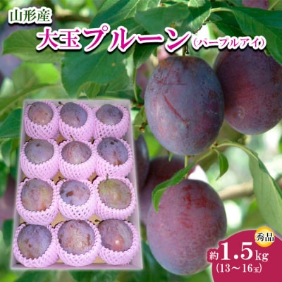山形市産 大玉プルーン(パープルアイ) 秀 約1.5kg【令和8年産先行予約】FU22-758