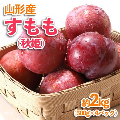山形産 すもも(秋姫) 約2kg(500g×4パック) 【令和8年産先行予約】FU23-536 