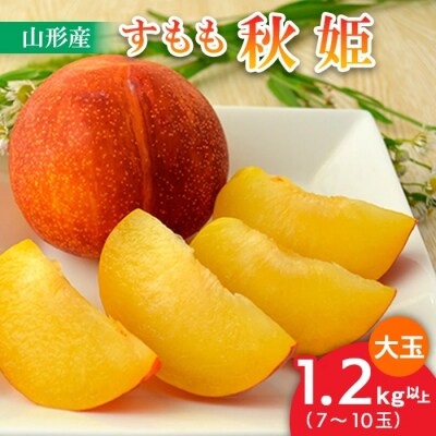 山形のすもも[秋姫]大玉 1.2kg以上(7～10玉) 【令和8年産先行予約】FU22-800