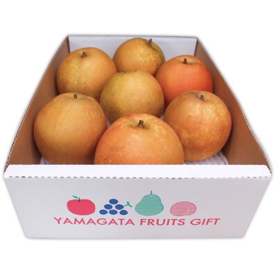 ☆フルーツ王国山形☆和梨 (甘太) 秀品 3kg 【令和8年産先行予約】FS24-776 