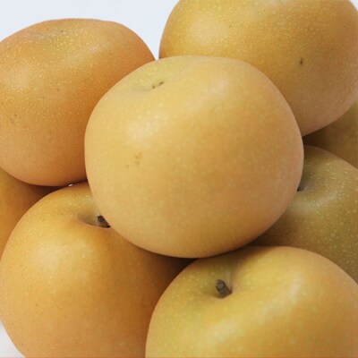 ☆フルーツ王国山形☆和梨(あきづき) 秀品 3kg 【令和8年産先行予約】FU22-028