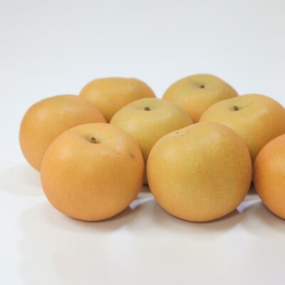 ☆フルーツ王国山形☆和梨 (王秋) 秀品 3kg 【令和8年産先行予約】FS24-777