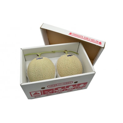 山形のアールスメロン 2玉(3kg以上) 【令和8年産先行予約】FU21-634 