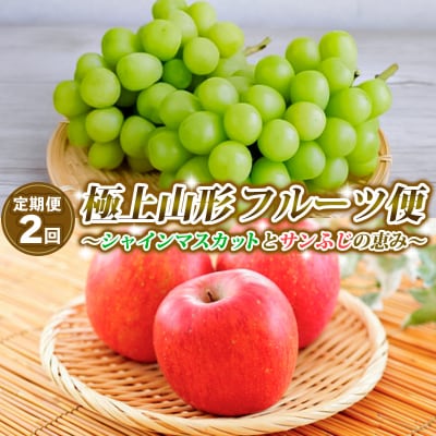 【定期便2回】フルーツ便～シャインマスカットとサンふじ～【令和8年産先行予約】FS25-642 