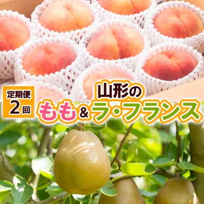 【定期便2回】山形の　もも&ラ・フランス 【令和8年産先行予約】FU23-797 