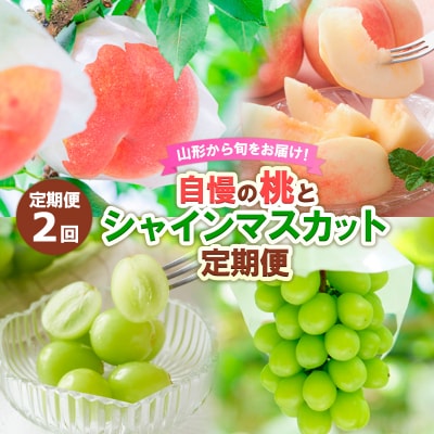 【定期便2回】山形から旬をお届け!自慢の桃とシャインマスカット【令和8年産先行予約】FS24-501