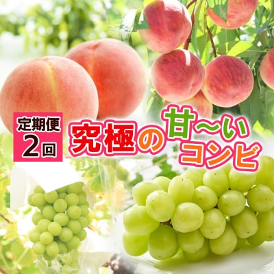 【定期便2回】究極の 甘～いコンビ 【令和8年産先行予約】FS24-795 