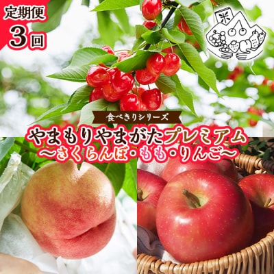 【定期便3回】★食べきりシリーズ★やまもりやまがたプレミアム【令和8年産先行予約】FU23-704 