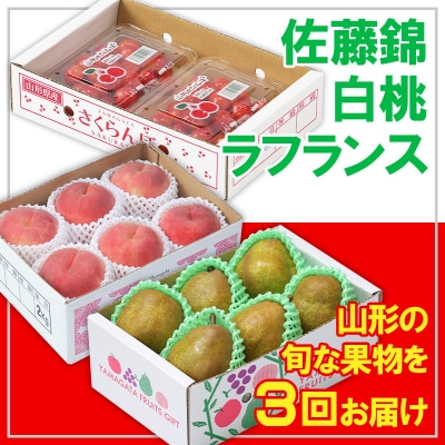 【定期便3回】☆フルーツ王国山形☆ 佐藤錦・白桃・ラフランス 【令和8年産】FS25-663