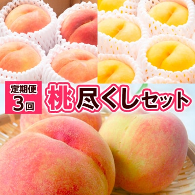 【定期便3回】桃三昧の幸せ便 【令和8年産先行予約】FS25-612