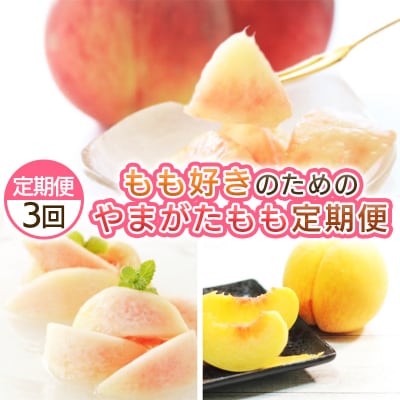 【定期便3回】もも好きのためのやまがたもも定期便  【令和8年産先行予約】FS25-694