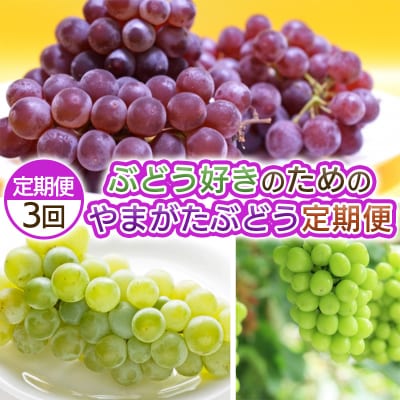 【定期便3回】ぶどう好きのためのやまがたぶどう定期便  【令和8年産先行予約】FS25-693