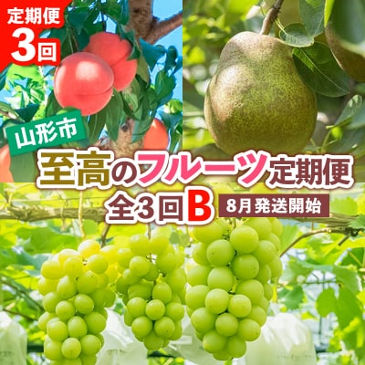 【定期便3回】山形市至高のフルーツ定期便B 8月発送開始 【令和8年産先行予約】FS24-760 