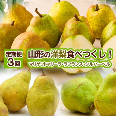 【定期便3回】山形の洋梨食べつくし!【令和8年産先行予約】FS25-688