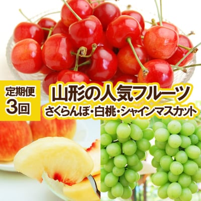 【定期便3回】山形の人気フルーツ【令和8年先行予約】FU23-310