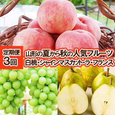 【定期便3回】山形の夏から秋の人気フルーツ 【令和8年産先行予約】FS25-687 