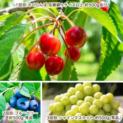 【定期便3回】やまがた　夏霞のフルーツ定期便  【令和8年産先行予約】FS25-703