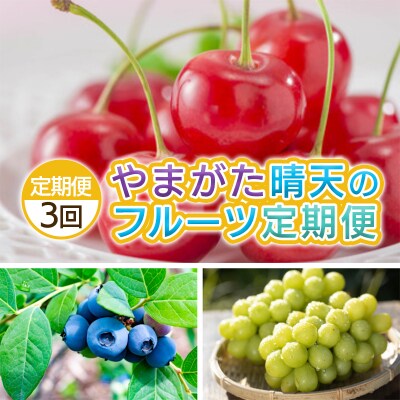 【定期便3回】やまがた 晴天のフルーツ定期便  【令和8年産先行予約】FS25-702
