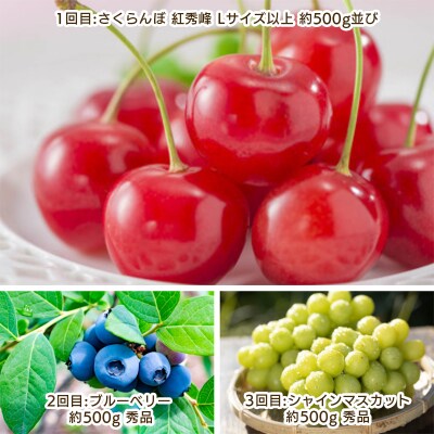 【定期便3回】やまがた 晴天のフルーツ定期便  【令和8年産先行予約】FS25-702