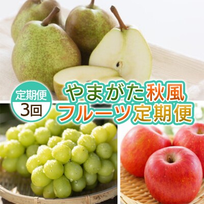 【定期便3回】やまがた 秋風フルーツ定期便  【令和8年産先行予約】FS25-697 