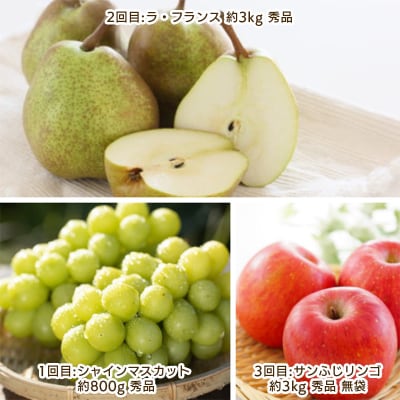 【定期便3回】やまがた 秋風フルーツ定期便  【令和8年産先行予約】FS25-697 